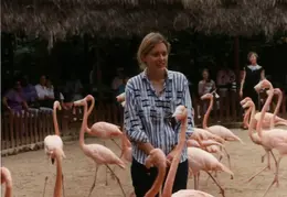 Eastern Caribbean 1988 031