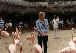 Eastern Caribbean 1988 033