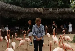 Eastern Caribbean 1988 035