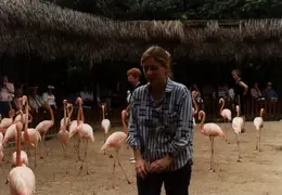 Eastern Caribbean 1988 036