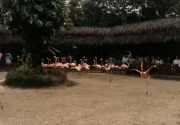 Eastern Caribbean 1988 038