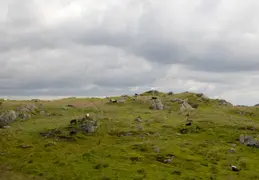 Norway Cruise 2017 11 Hangesund