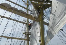 Royal Clipper BVI Christmas 2016 Miscellaneous