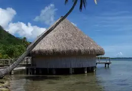 Tahiti 2004 126687991105 0 ALB