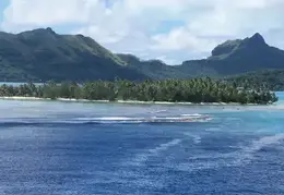 Tahiti 2004 517841812105 0 ALB