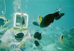 Tahiti 2004 588080012105 0 ALB