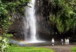 Tahiti 2004 601761202105 0 ALB