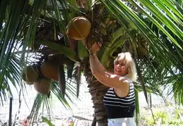 Tahiti 2004 634462142105 0 ALB