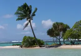 Tahiti 2004 985262991105 0 ALB