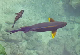 Tahiti Cruise 2013 0014