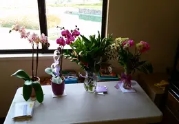 20150317 082108 home from kaiser 2