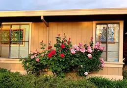 FB IMG 1662905642116