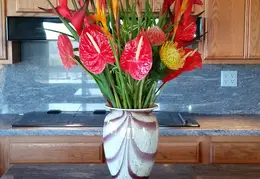 Flowers 20150212 144630