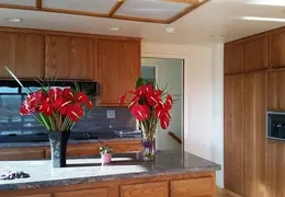 Flowers 20160301 082230