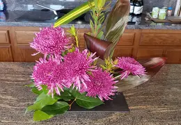 Flowers 20160525 134635