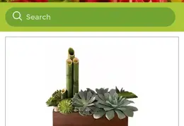 Peaceful Zen Garden 20171206