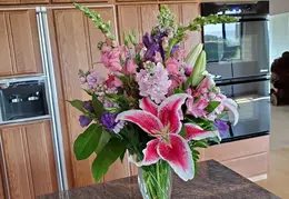 From Melissa 5-8-2019