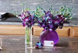 House Flowers 20190711 114627