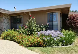 House Flowers 20190721 141147