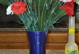 House Flowers 20191231 233200