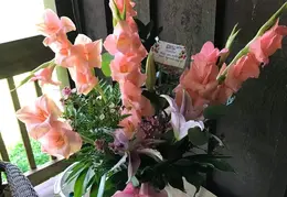 Screenshot 20190730-100943 Facebook