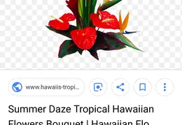 Summer Daze Tropical Hawaiian Flowers 20190212