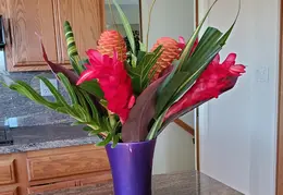 Flowers 20200212 095238