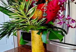 Flowers 20220510 130705