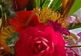 Flowers 20220511 145510