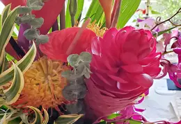 Flowers 20220511 145533