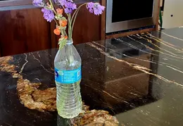 Flowers 20230327 121820