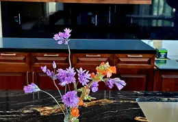 Flowers 20230327 121942