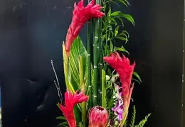 Flowers 20230819 141042 Facebook