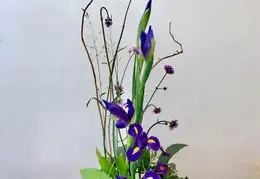 Flowers 20230928 091008 Facebook