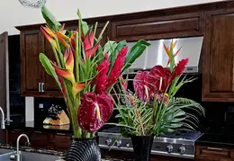 Flowers 20240206 122046