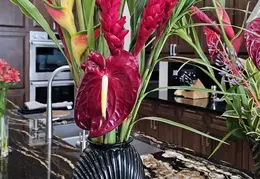 Flowers 20240206 122054