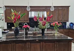 Flowers 20240206 165817