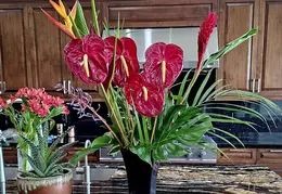 Flowers 20240210 105327