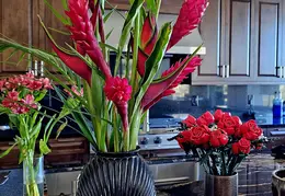 Flowers 20240217 161740