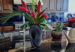 Flowers 20240228 094955