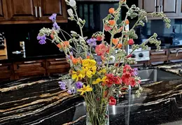 Flowers 20240314 172608