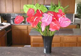 small v-day P2081920