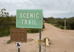 McDowell Mountain Regional Park Scenic Trail 20230320 005