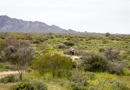 McDowell Mountain Regional Park Scenic Trail 20230320 025