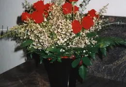 Romance First Flowers