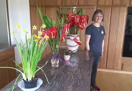 Valentines Day Flowers 2016