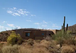 Saguaro Flowers 20230520 05
