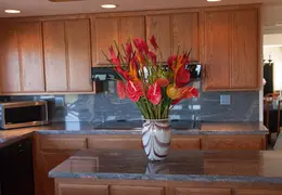 Spring Flowers 20150212 1