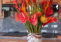 Spring Flowers 20150212 2