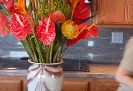 Spring Flowers 20150212 3